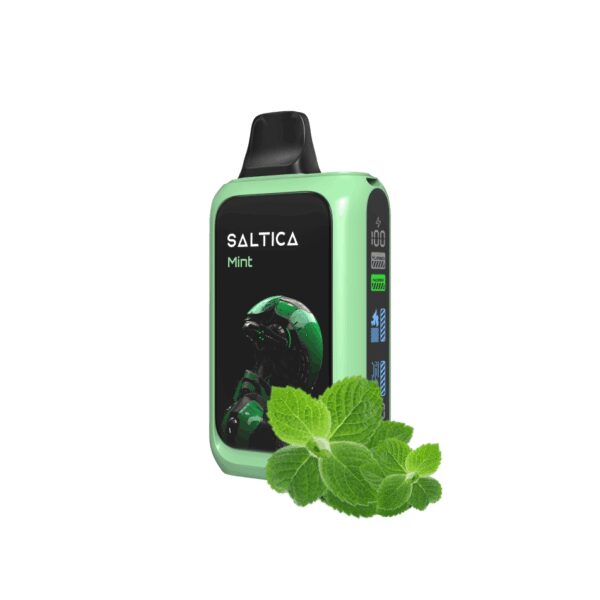 Taze nane aromalı Saltica Cyber 18000 kullan at vape bar, uygun fiyat ve yüksek kapasiteli salt nikotin ile uzun süreli ferahlık sunar.