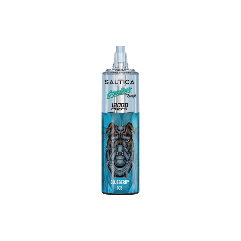 Saltica Cyberpunk 12000 Blueberry Ice Ferah yaban mersini tadıyla salt nikotinli bu kullan-at vape bar, uygun fiyatlı uzun ömürlü buhar keyfi sunar.