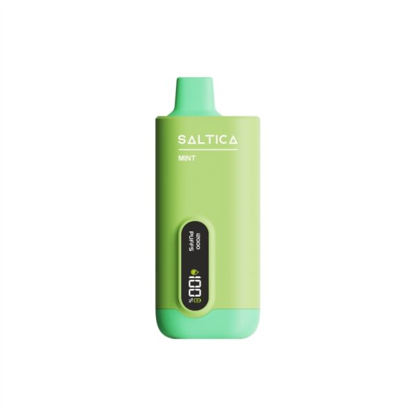 Saltica ekranlı 12000 Mint kullan at vape bar, ferah nane tadı ve uygun fiyatıyla salt nikotin keyfi sunar.