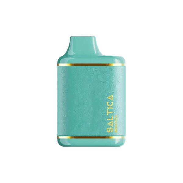 Saltica Leather 7000 Menthol Zero kullan-at vape, ferahlatıcı nane aroması ve 7000 pufluk yüksek performansıyla uygun fiyatlı bir seçenek.