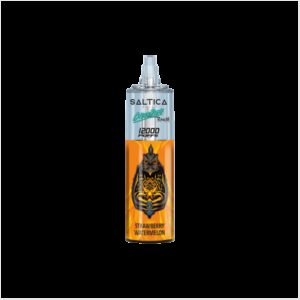 Saltica Cyberpunk 12000 Strawberry Watermelon Disposable Vape Bar