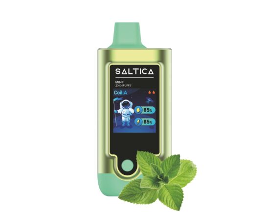 Saltica Digital 20000 Mint Disposable Vape Bar