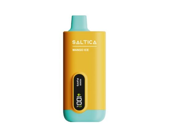 Saltica Ekranlı 10000 Mango Ice Disposable Vape Bar