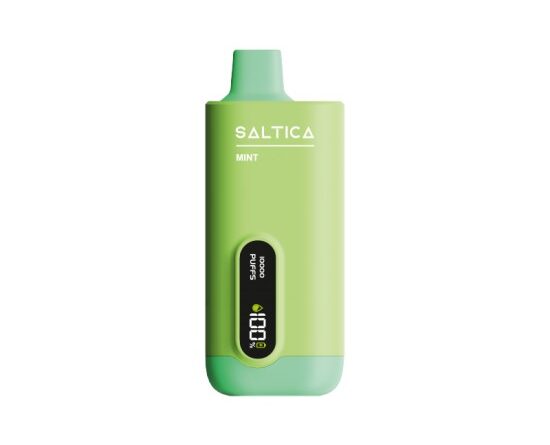 Saltica Ekranlı 10000 Mint Disposable Vape Bar