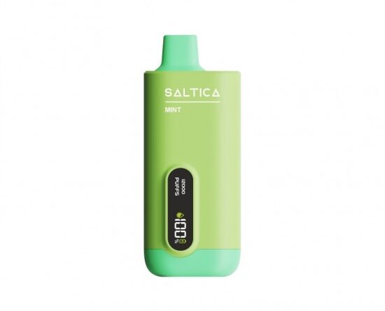 Saltica Ekranlı 12000 Mint Disposable Vape Bar