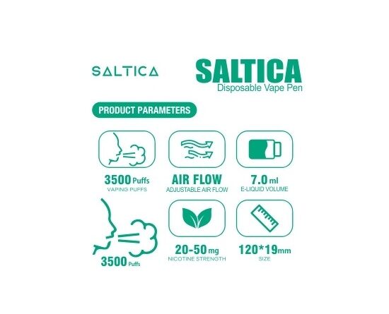 Saltica Fresh Mint Disposable Vape Pen