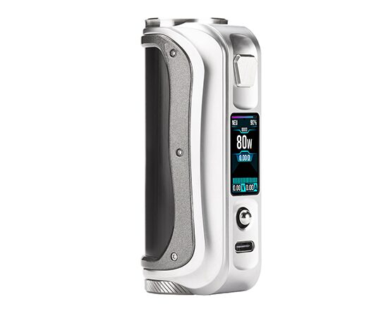 SX Mini SL Class V2 100W